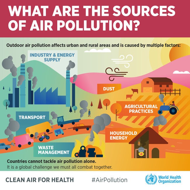 Infographic What Are The Sources Of Air Pollution 2018 PAHO WHO   WHO Nada Air Pollution Slides  Artboard 4 